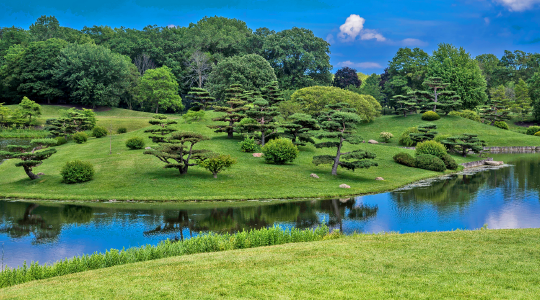 Chicago Botanical Garden