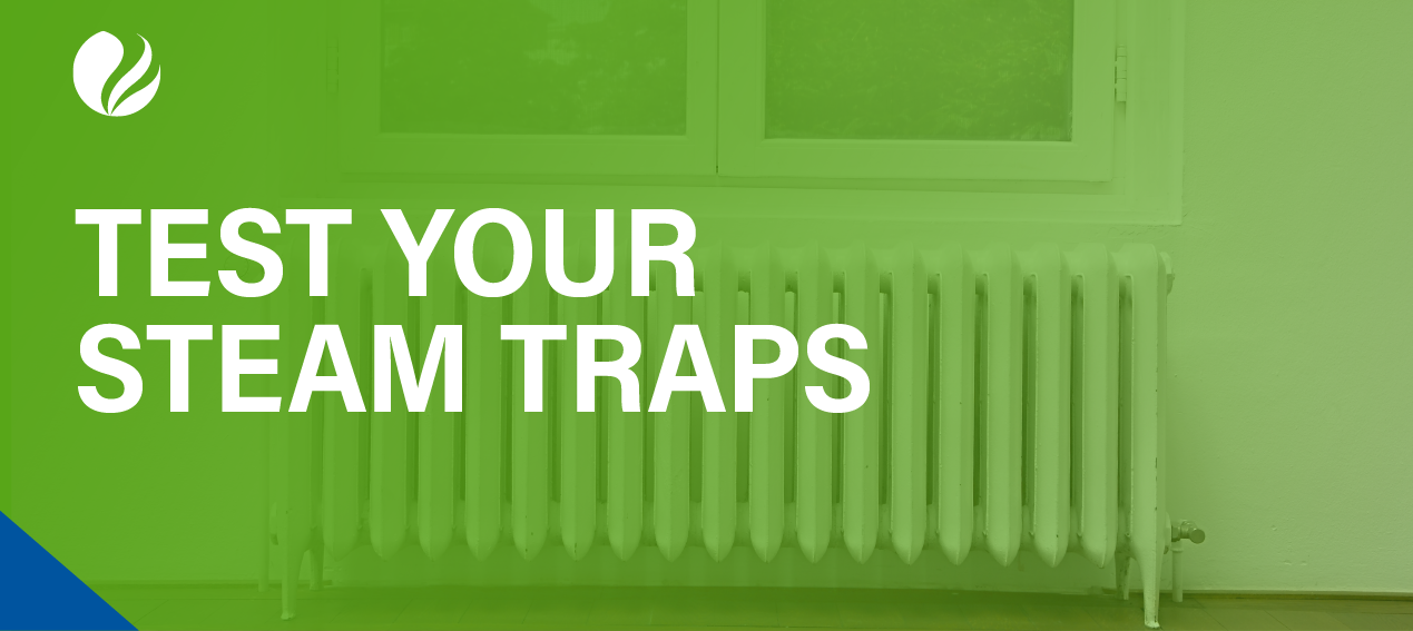 2024_Q4_ER_lp-img_609x272_test-your-steam-traps