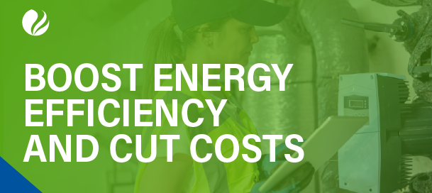 2025_Q2_ER_lp-img_609x272_watermarked_02-BoostEEandCutCosts